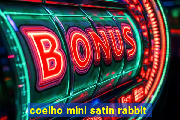 coelho mini satin rabbit